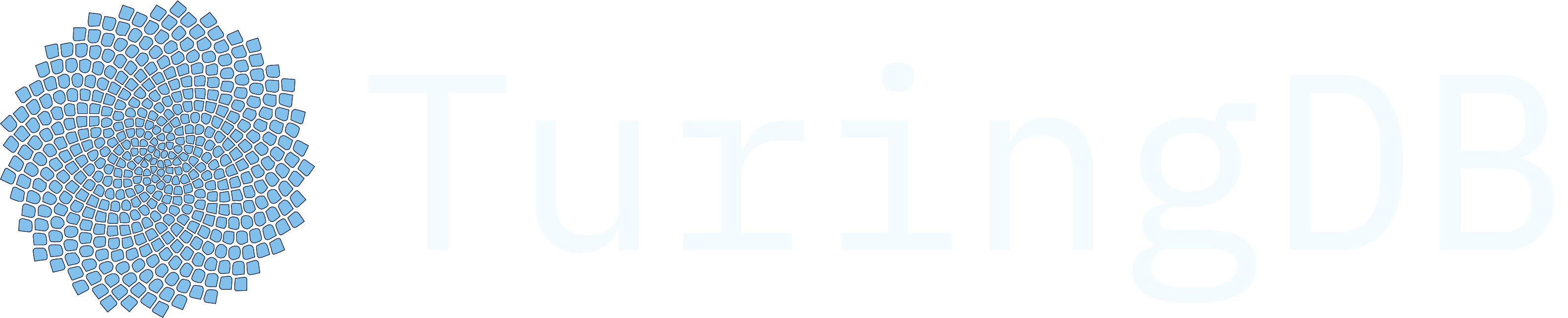 light logo
